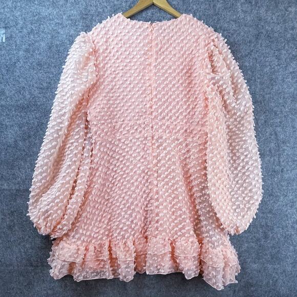 Miss Ord Dress 3XL Pink Lantern Sleeve Ruffle Textured Flounce Romantic Girly - Picture 2 of 7